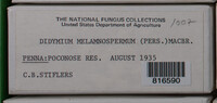 Image Associated With the Occurence